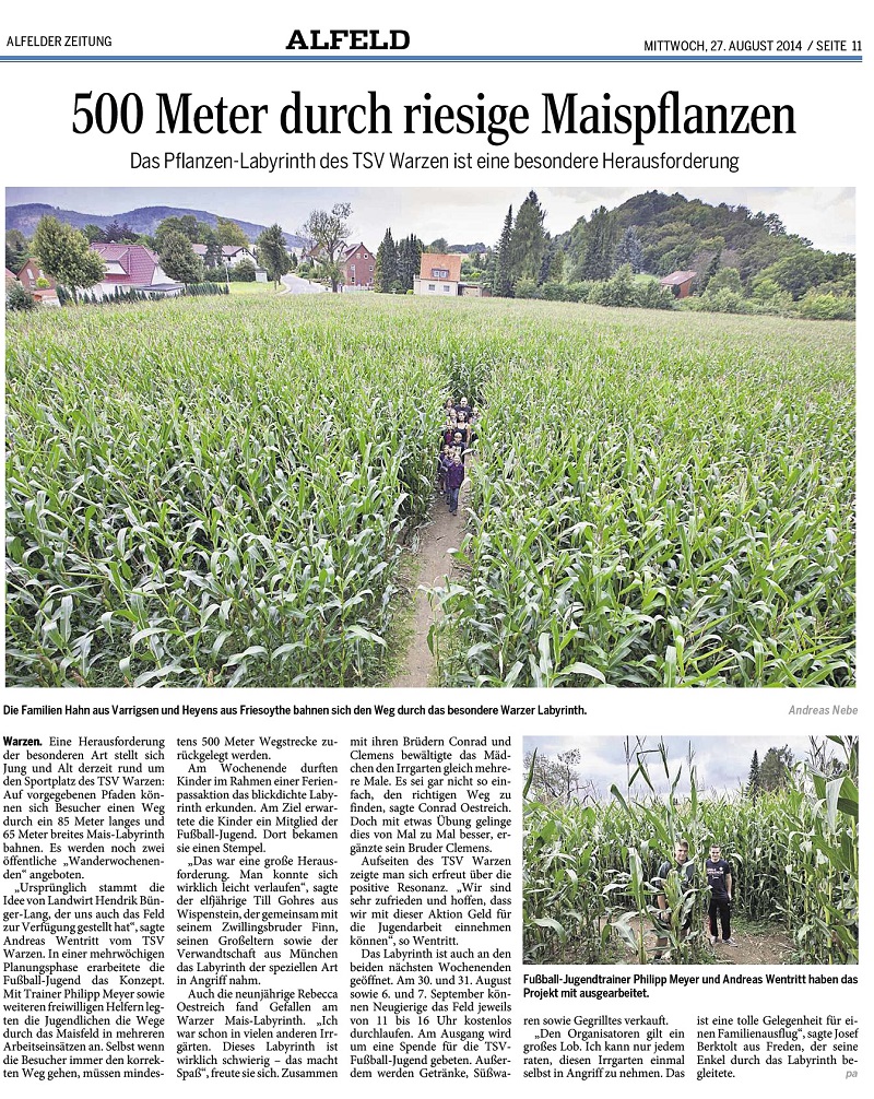 Maislabyrinth 2014 Alfelder Zeitung